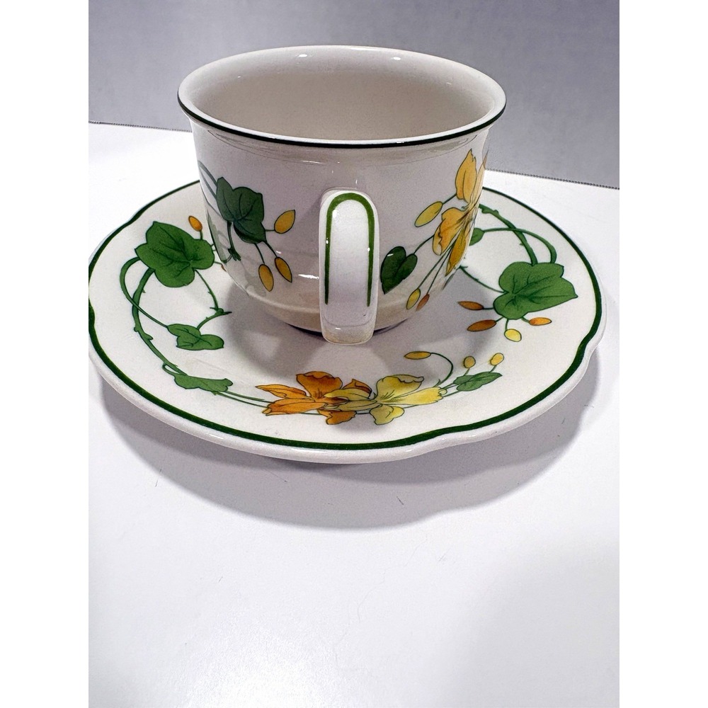 Vintage Villeroy & Boch Geranium Cup & Saucer Set W. Germany Porcelain 170ml 2pc